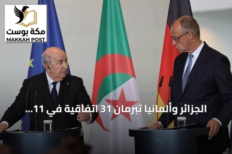 الجزائر وألمانيا تبرمان 31 اتفاقية في 11 مجالاً استراتيجياً واقتصادياً