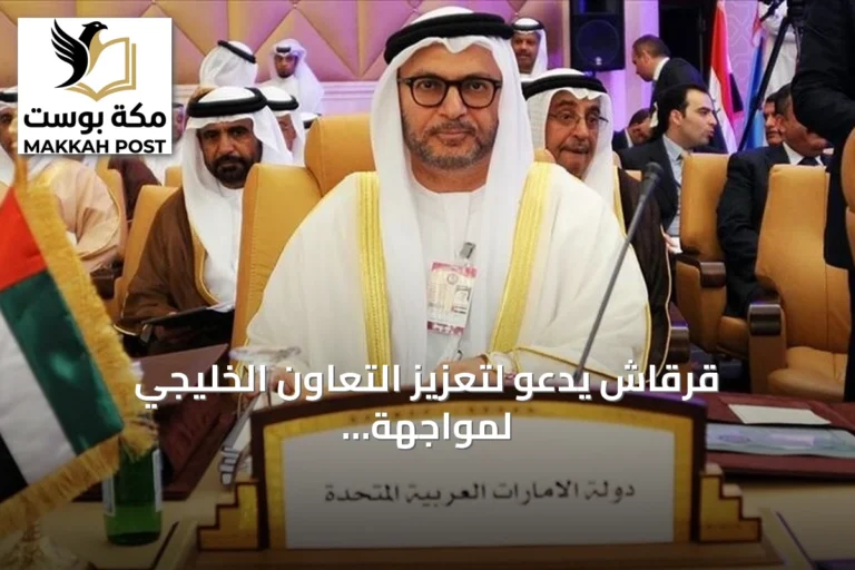 قرقاش يدعو لتعزيز التعاون الخليجي لمواجهة التوترات الأميركية‑الإيرانية