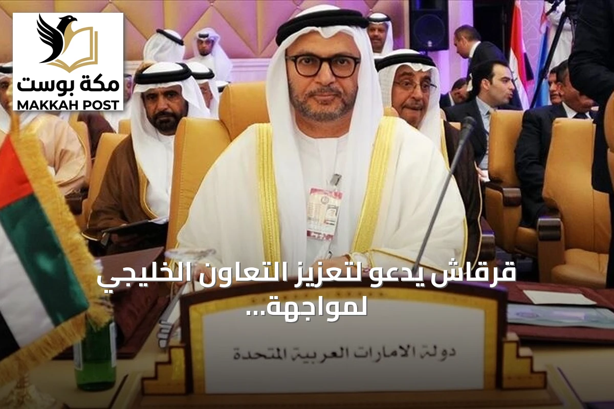 قرقاش يدعو لتعزيز التعاون الخليجي لمواجهة التوترات الأميركية‑الإيرانية