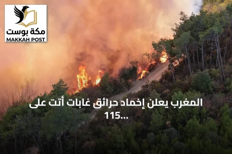 المغرب يعلن إخماد حرائق غابات أتت على 115 هكتارا في الحوز وتارودانت