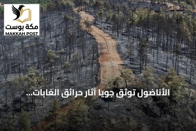 الأناضول توثق جويًا آثار حرائق الغابات بموغلا