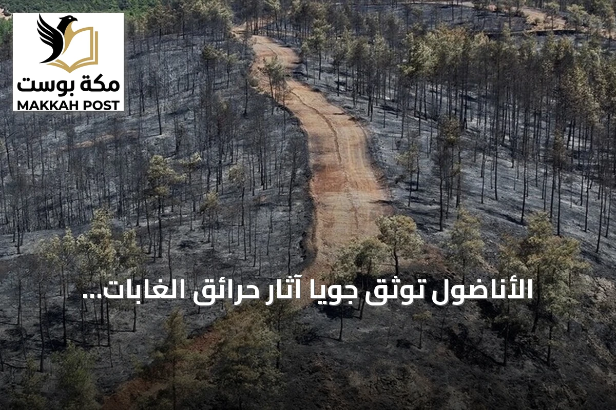 الأناضول توثق جويًا آثار حرائق الغابات بموغلا