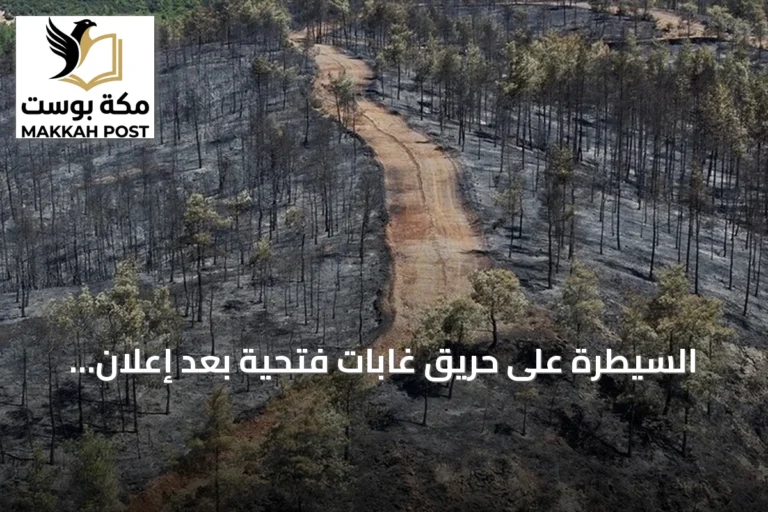 السيطرة على حريق غابات فتحية بعد إعلان الوزير التركي عن إخماد النيران