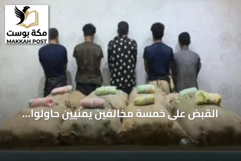 القبض على خمسة مخالفين يمنيين حاولوا تهريب 160 كيلوجراماً من القات بجازان
