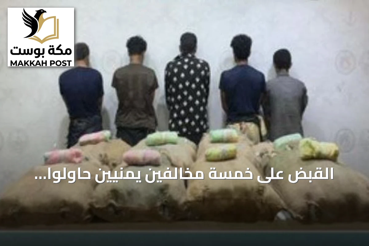 القبض على خمسة مخالفين يمنيين حاولوا تهريب 160 كيلوجراماً من القات بجازان