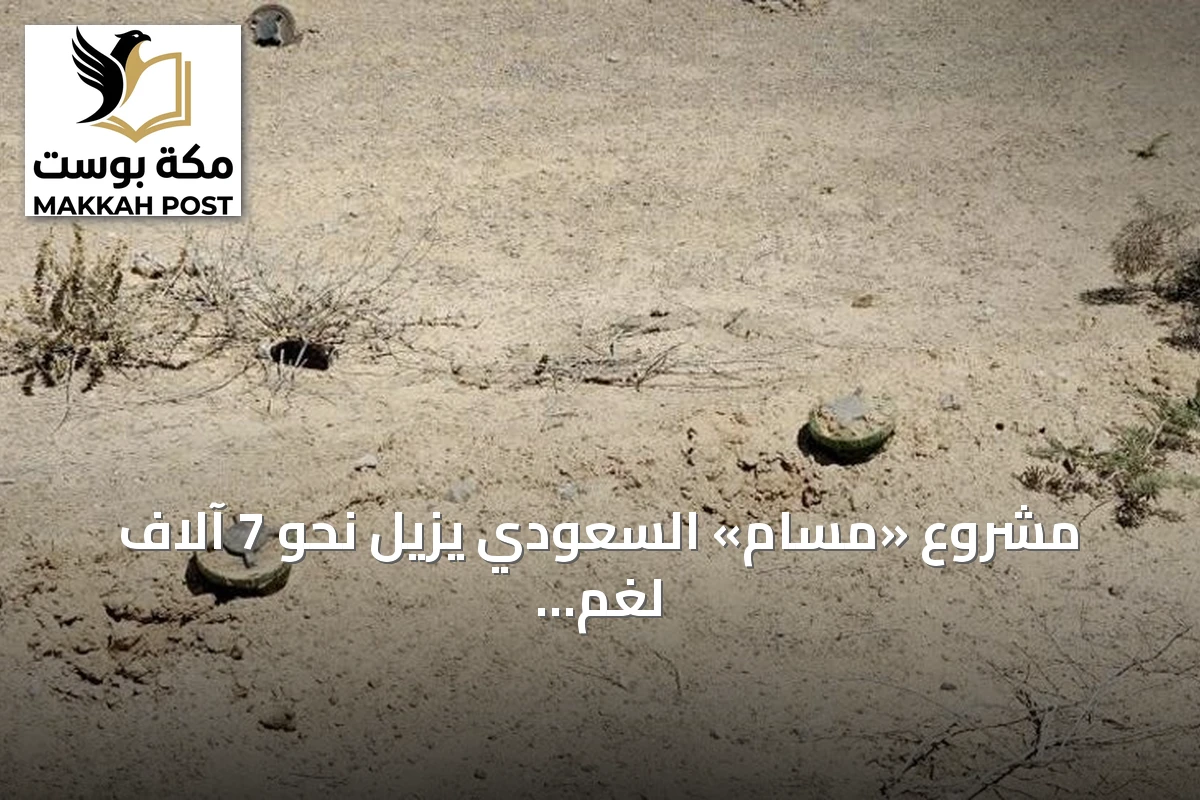 مشروع «مسام» السعودي يزيل نحو 7 آلاف لغم وذخيرة في اليمن خلال يوليو