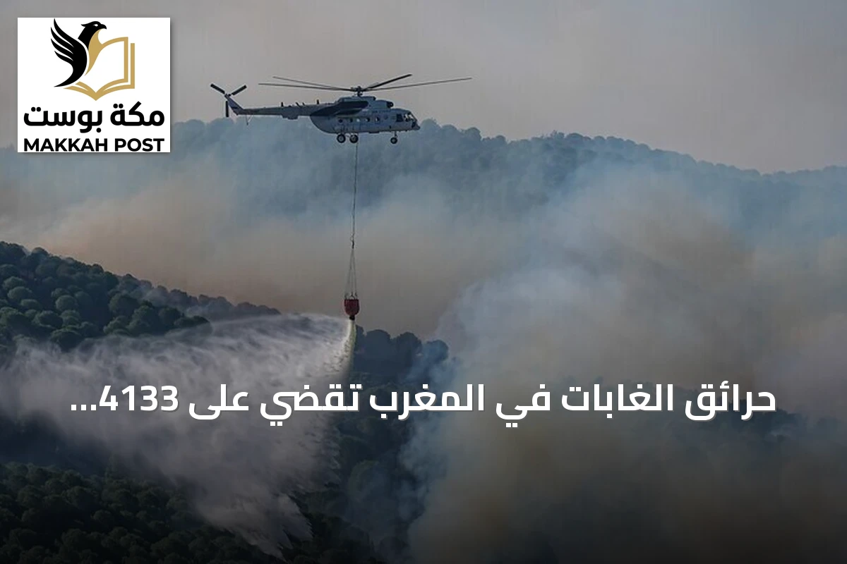 حرائق الغابات في المغرب تقضي على 4133 هكتارًا منذ يناير 2026