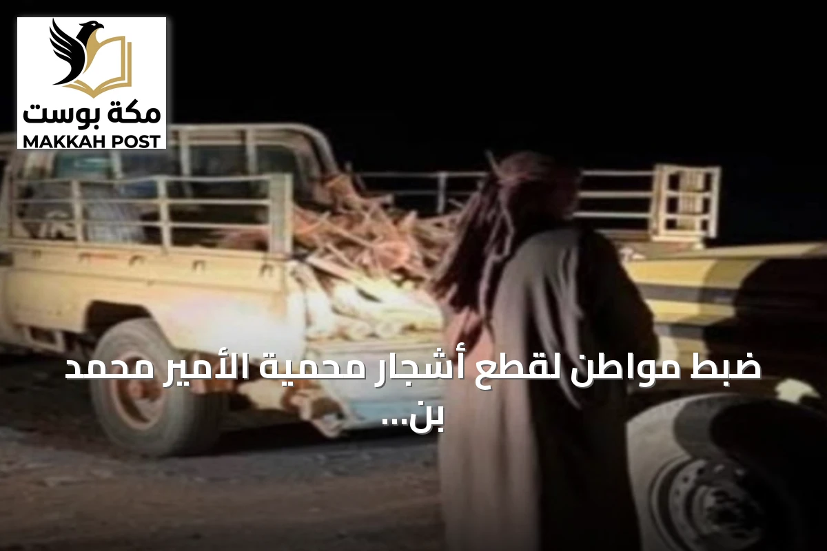 ضبط مواطن لقطع أشجار محمية الأمير محمد بن سلمان الملكية دون ترخيص