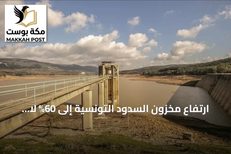 ارتفاع مخزون السدود التونسية إلى 60% لا ينهي انقطاعات مياه الشرب