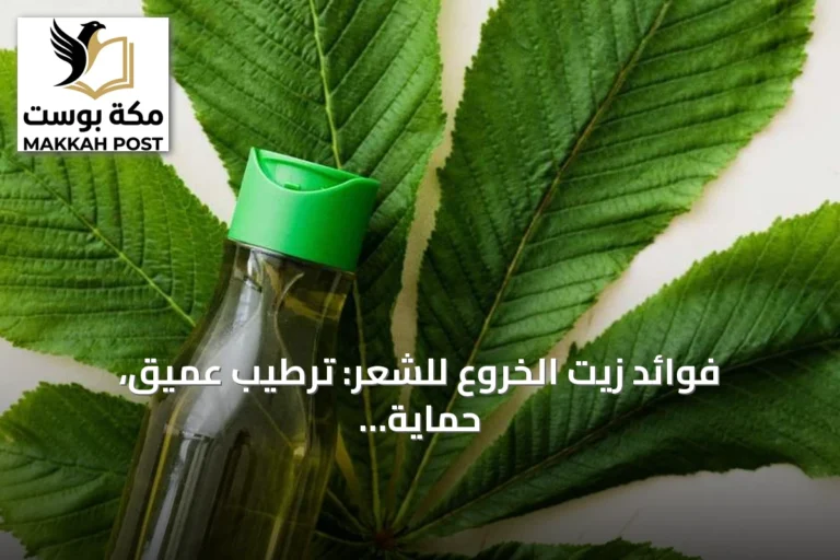 فوائد زيت الخروع للشعر: ترطيب عميق، حماية فروة الرأس ودعم النمو