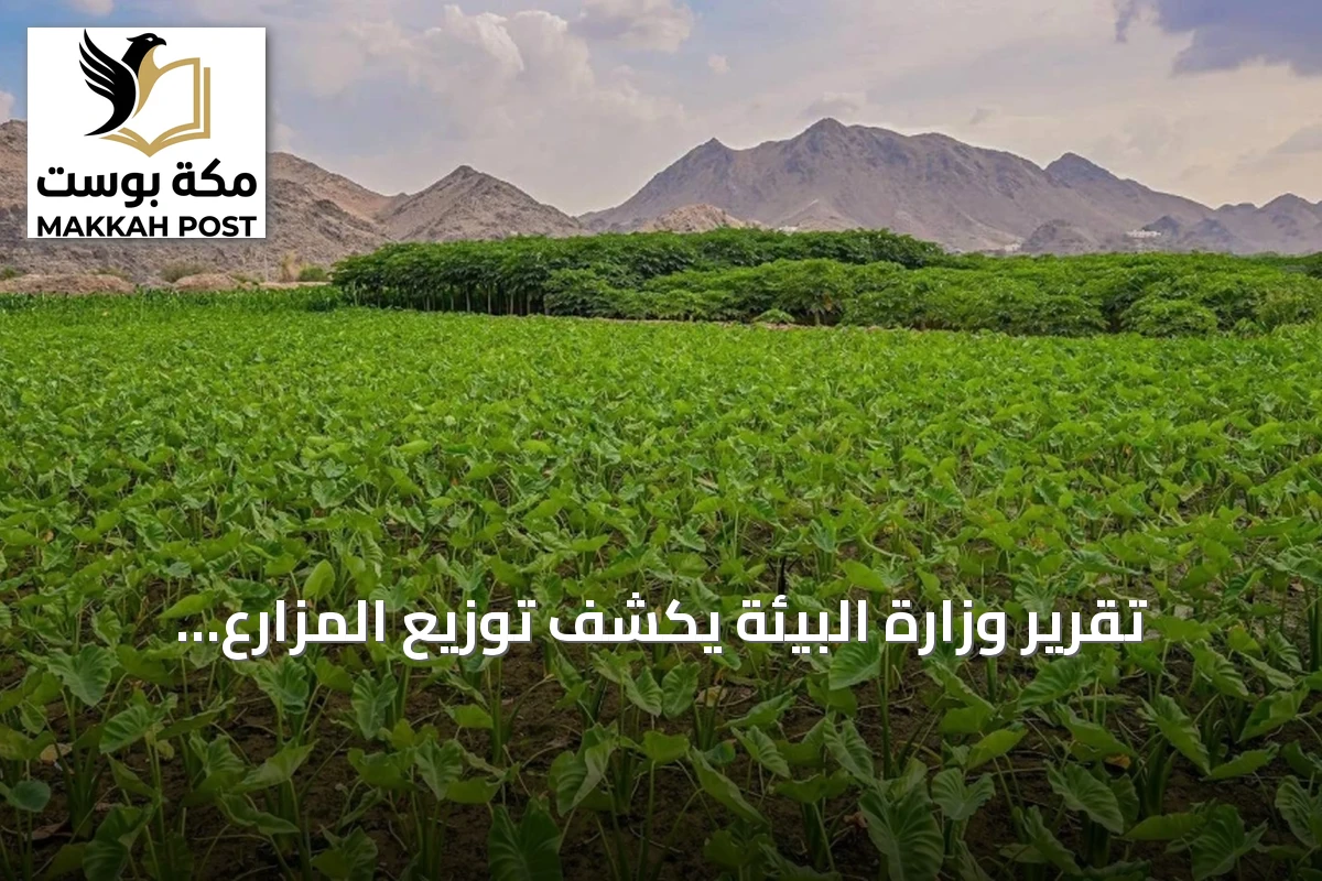 تقرير وزارة البيئة يكشف توزيع المزارع وأنواع التراخيص في السعودية