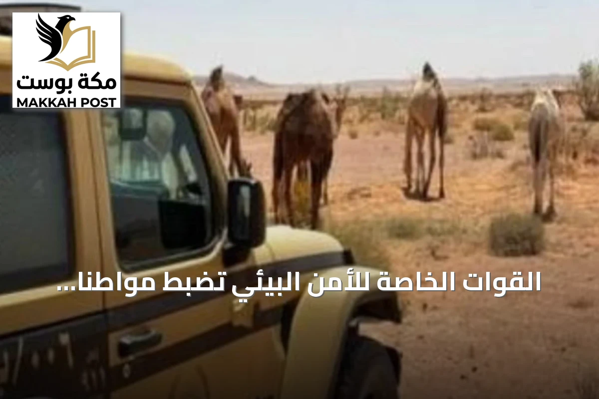 القوات الخاصة للأمن البيئي تضبط مواطنًا رعى 15 متنًا من الإبل في محمية الإمام تركي بن عبدالله الملكية