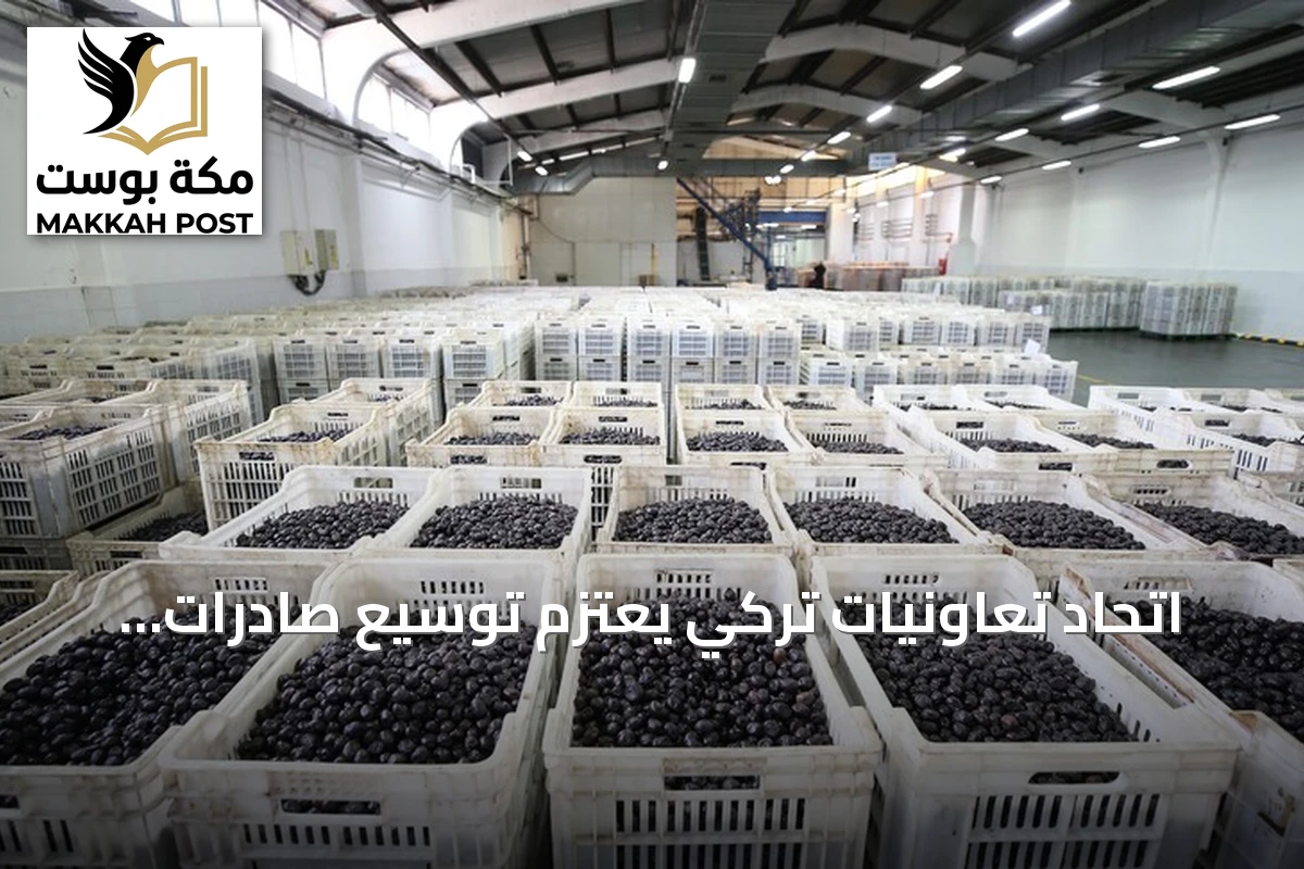 اتحاد تعاونيات تركي يعتزم توسيع صادرات الزيتون إلى أسواق الشرق الأوسط