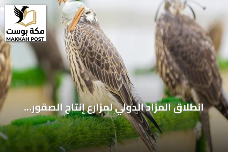 انطلاق المزاد الدولي لمزارع إنتاج الصقور 2026 في الرياض بمشاركة واسعة
