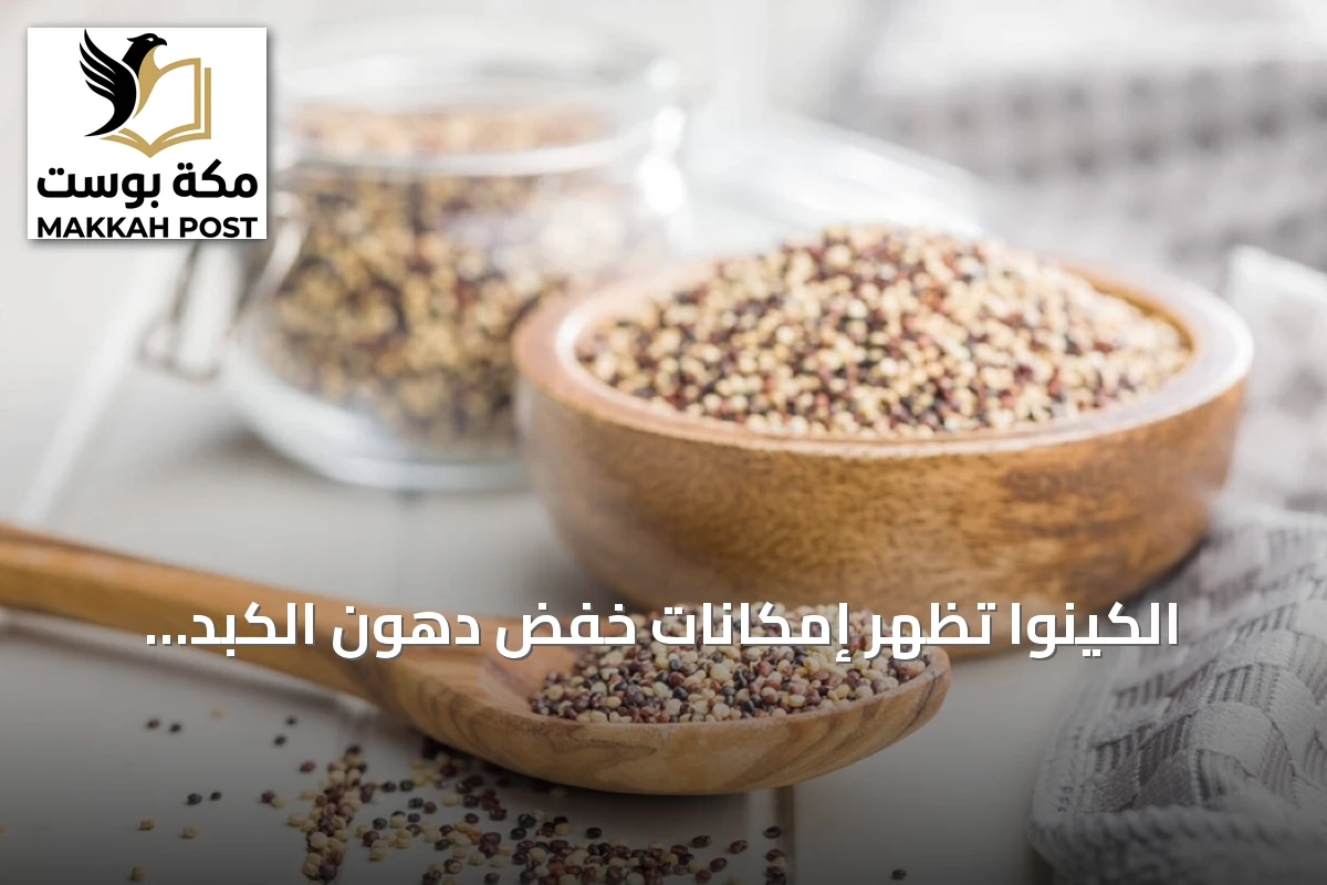 الكينوا تُظهر إمكانات خفض دهون الكبد وتحسين المؤشرات الأيضية