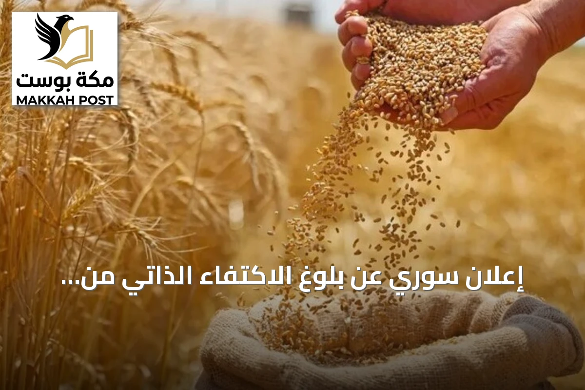 إعلان سوري عن بلوغ الاكتفاء الذاتي من القمح بعد تجاوز الإنتاج الحاجة السنوية