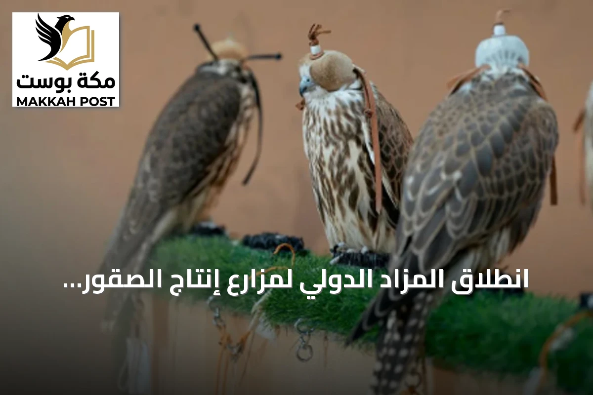 انطلاق المزاد الدولي لمزارع إنتاج الصقور 2026 في الرياض بمشاركة منتجين محليين وعالميين