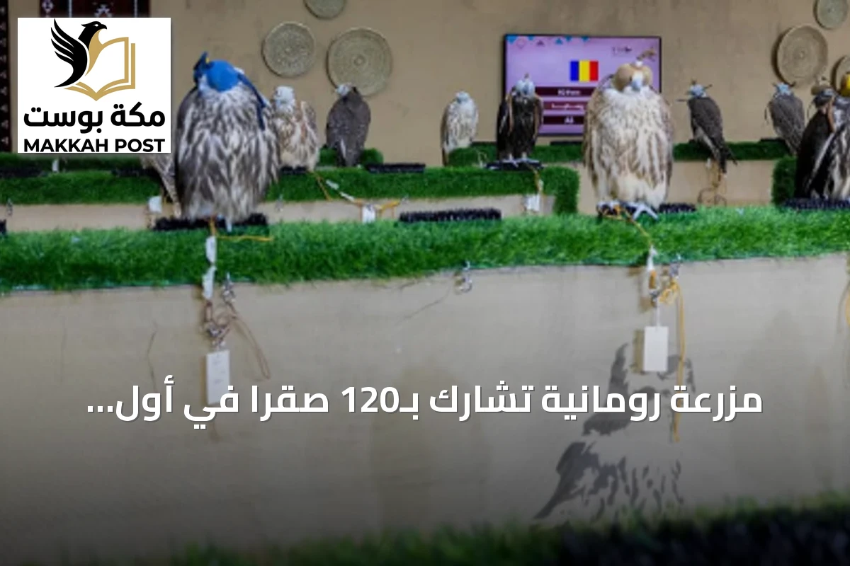 مزرعة رومانية تشارك بـ120 صقرًا في أول ظهور لها بالمزاد الدولي للصقور