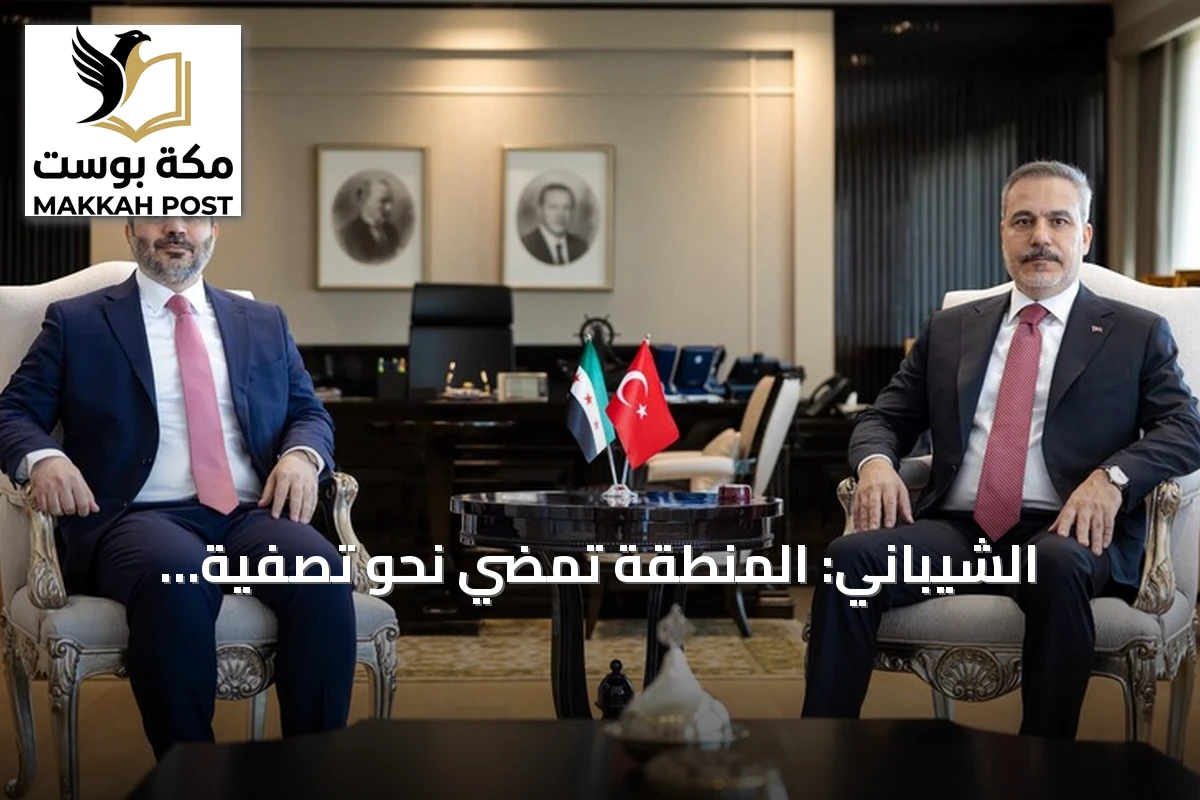 الشيباني: المنطقة تمضي نحو تصفية التشكيلات المسلحة خارج إطار الدولة الشرعية