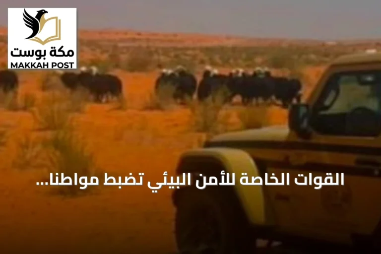 القوات الخاصة للأمن البيئي تضبط مواطناً يرعى 20 رأساً من الأغنام في محمية الإمام تركي بن عبدالله
