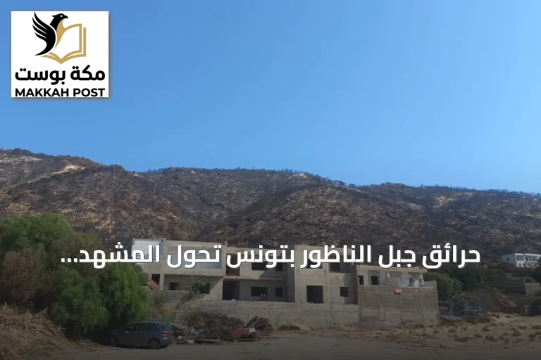 حرائق جبل الناظور بتونس تحوّل المشهد الطبيعي إلى سواد ورماد