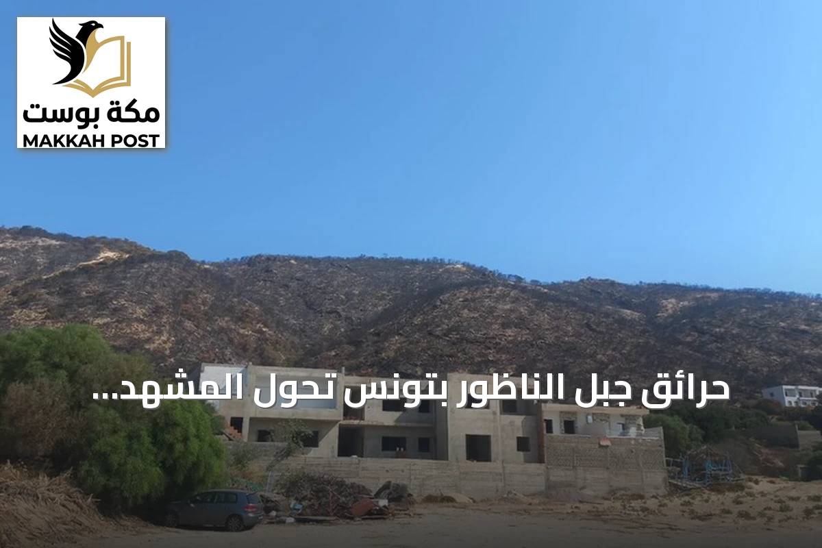 حرائق جبل الناظور بتونس تحوّل المشهد الطبيعي إلى سواد ورماد