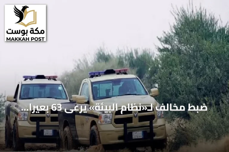 ضبط مخالف لـ«نظام البيئة» يرعى 63 بعيراً داخل محمية الإمام تركي