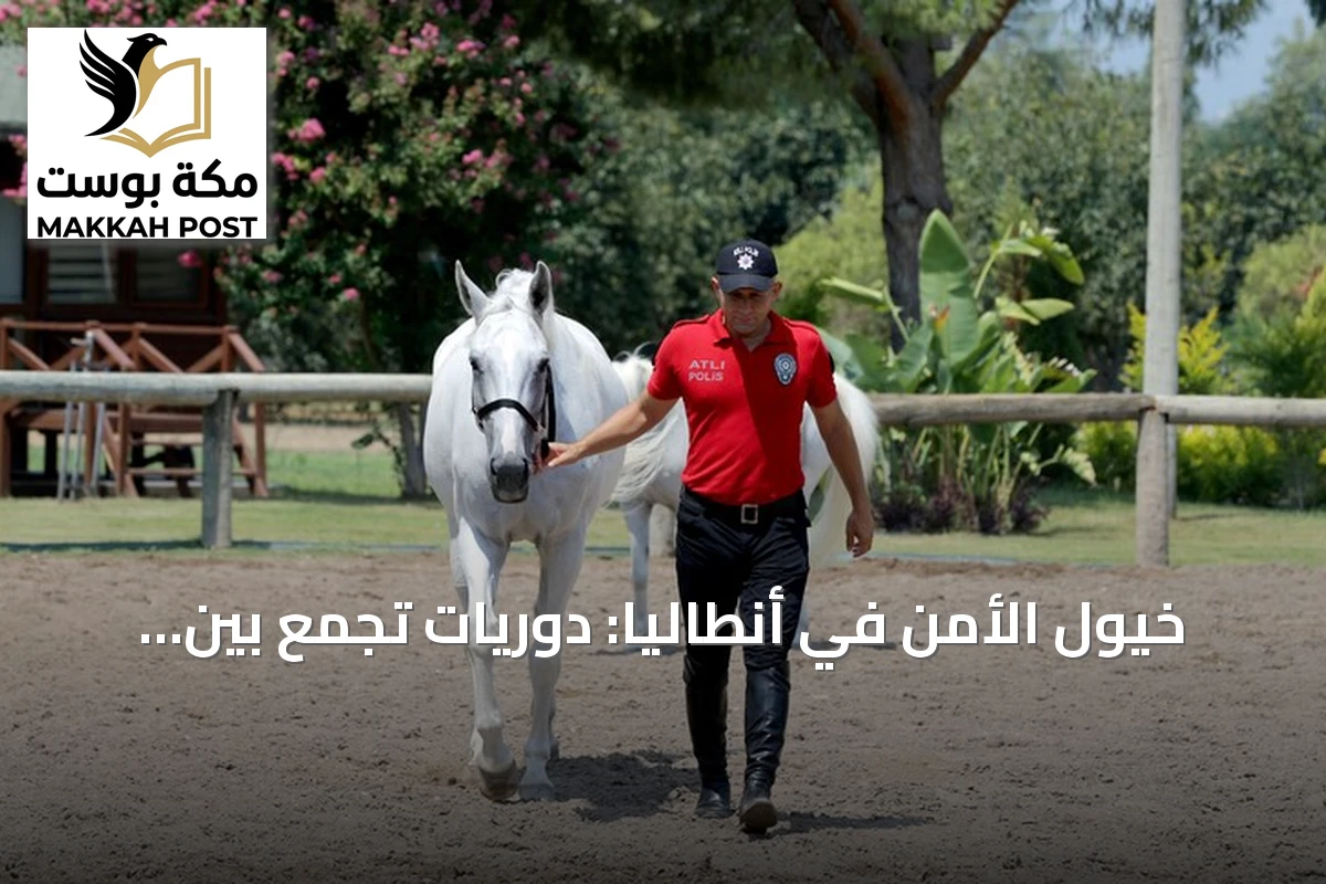 خيول الأمن في أنطاليا: دوريات تجمع بين الحماية والجذب السياحي