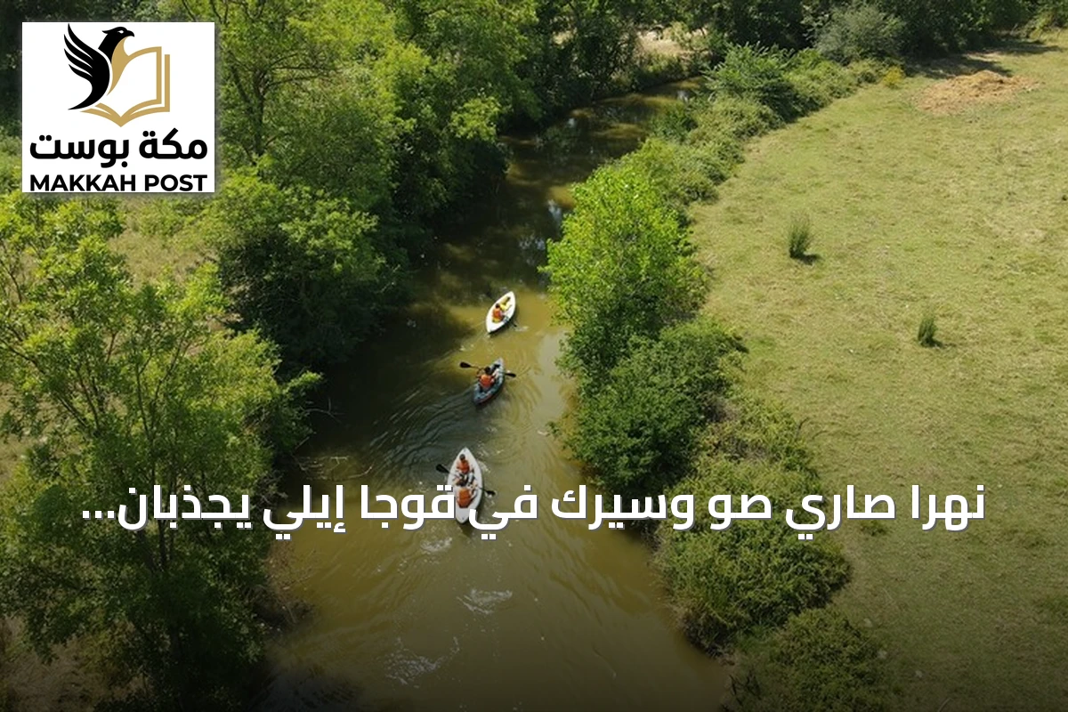 نهرا صاري صو وسيرك في قوجا إيلي يجذبان عشاق التجديف الصيفي