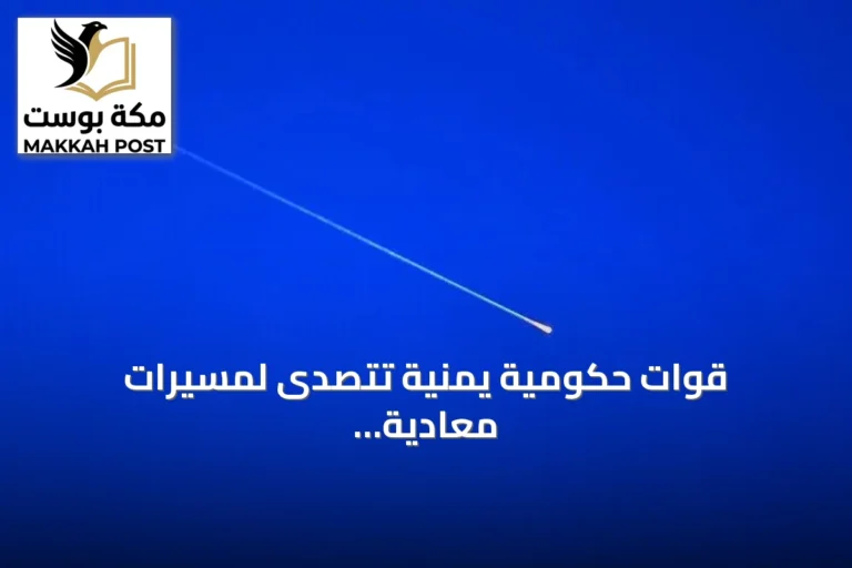 قوات حكومية يمنية تتصدى لمسيّرات معادية اقتربت من مرافق حساسة في عدن
