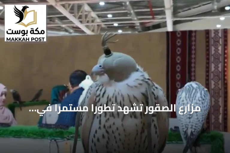 مزارع الصقور تشهد تطوراً مستمراً في المزاد الدولي مع أسعار تنافسية لدعم الأجيال القادمة