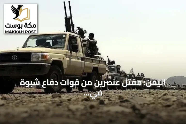 اليمن: مقتل عنصرين من قوات دفاع شبوة في هجوم حوثي بطائرات مسيرة