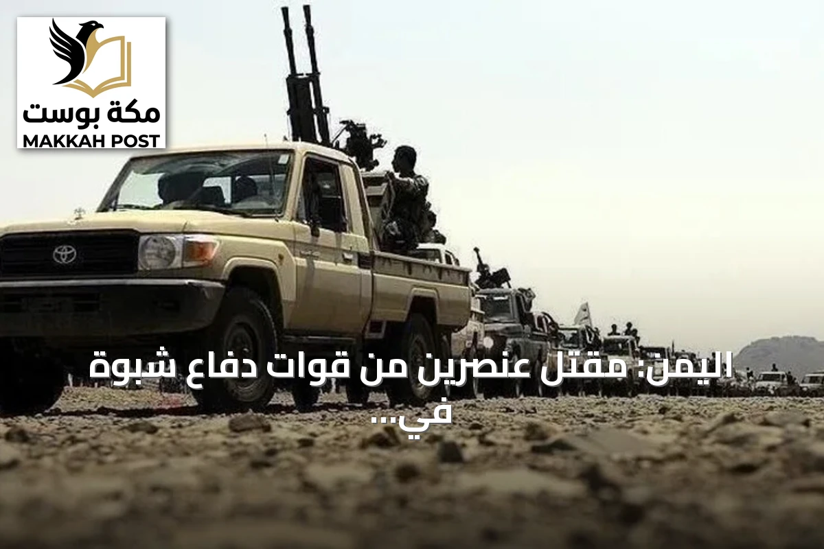 اليمن: مقتل عنصرين من قوات دفاع شبوة في هجوم حوثي بطائرات مسيرة