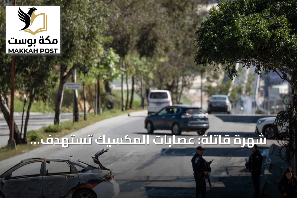شهرة قاتلة: عصابات المكسيك تستهدف المؤثرين على مواقع التواصل