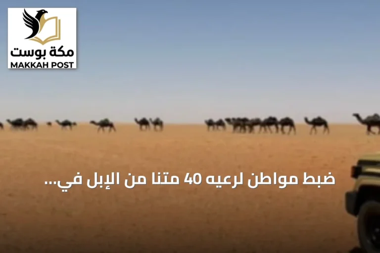 ضبط مواطن لرعيه 40 متنًا من الإبل في محمية الإمام تركي بن عبدالله الملكية
