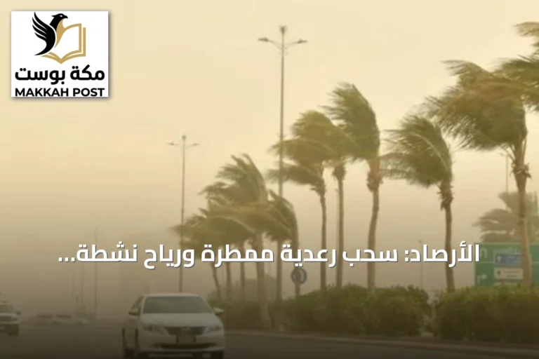 الأرصاد: سحب رعدية ممطرة ورياح نشطة وارتفاع الحرارة على عدد من المناطق الثلاثاء 2026