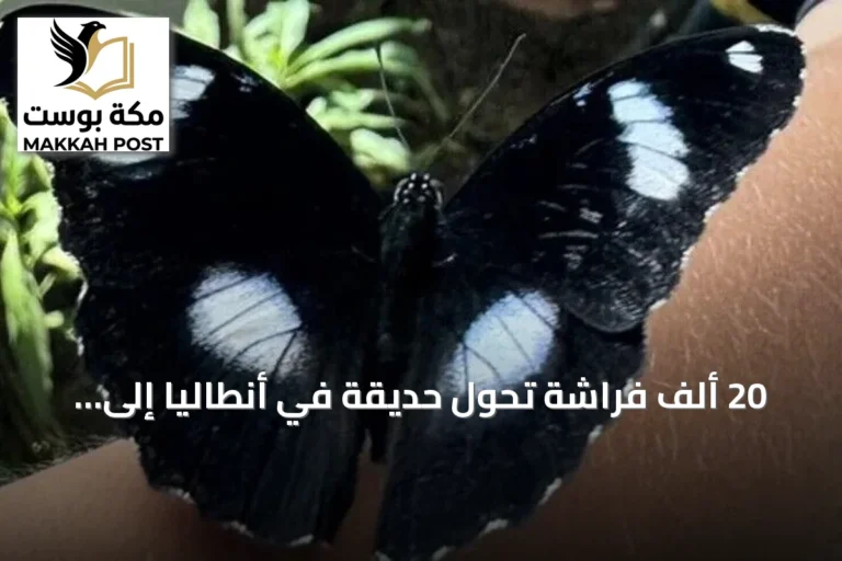 20 ألف فراشة تُحوّل حديقة في أنطاليا إلى وجهة استوائية فريدة للسياح