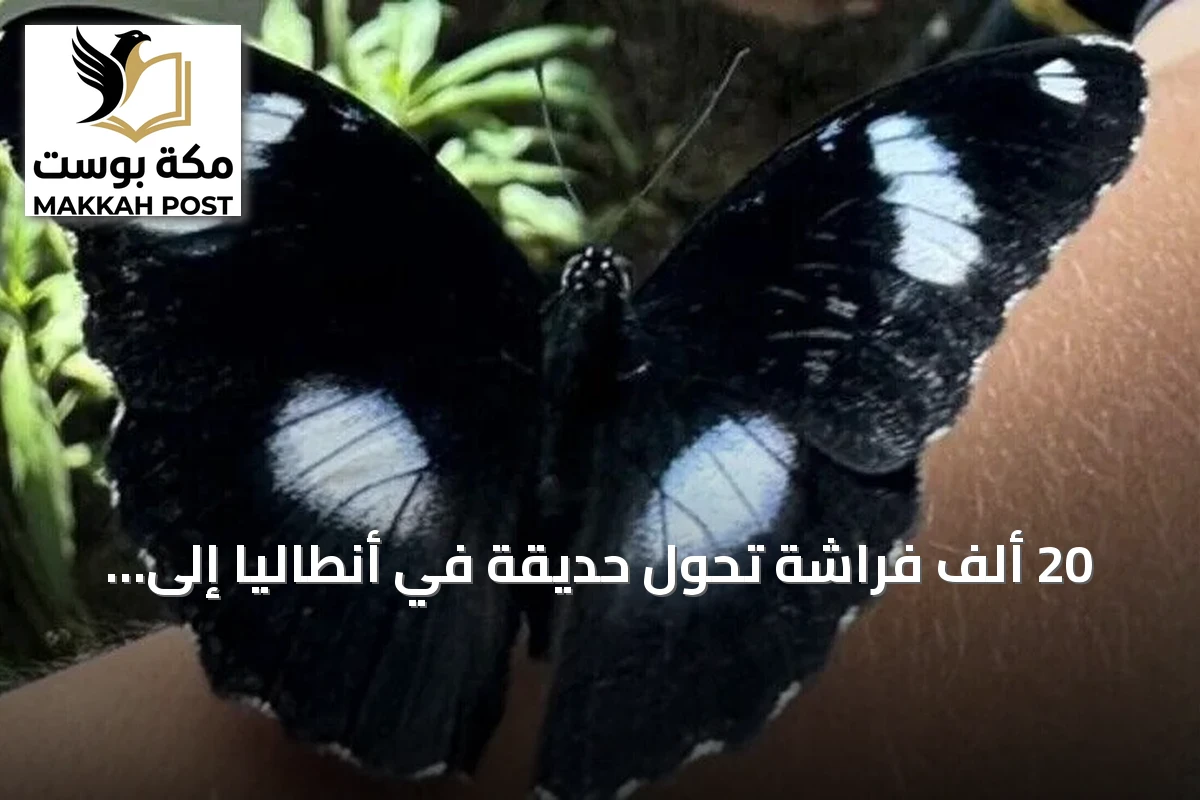 20 ألف فراشة تُحوّل حديقة في أنطاليا إلى وجهة استوائية فريدة للسياح