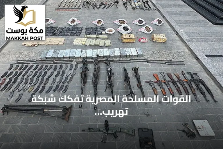 القوات المسلحة المصرية تفكك شبكة تهريب أسلحة بجنوب البلاد وتضبط أجانب