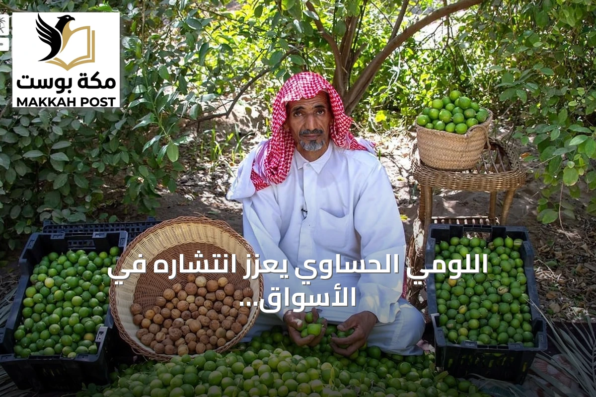 اللومي الحساوي يعزز انتشاره في الأسواق المحلية والخليجية عبر منتجات مبتكرة