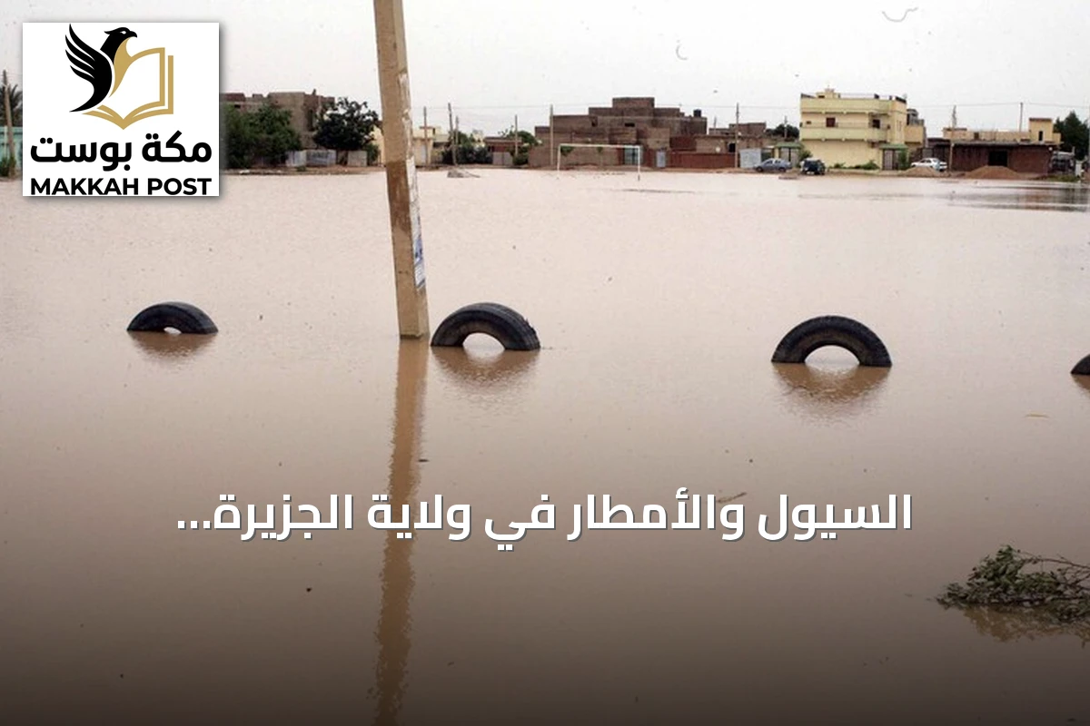 السيول والأمطار في ولاية الجزيرة السودانية.. وفاة شخص وإصابة 9 وتضرر 447 منزلاً