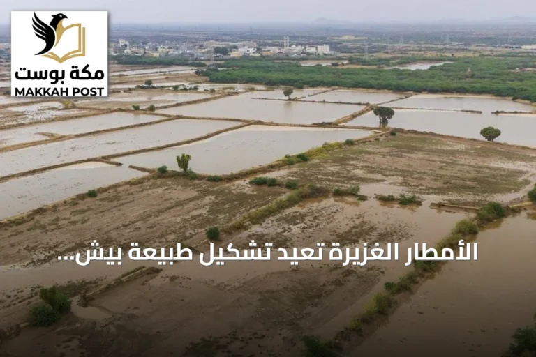 الأمطار الغزيرة تعيد تشكيل طبيعة بيش وتجعلها وجهة سياحية للمتنزهين