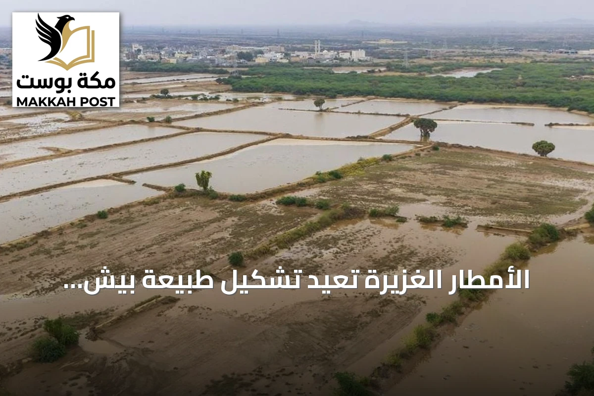 الأمطار الغزيرة تعيد تشكيل طبيعة بيش وتجعلها وجهة سياحية للمتنزهين