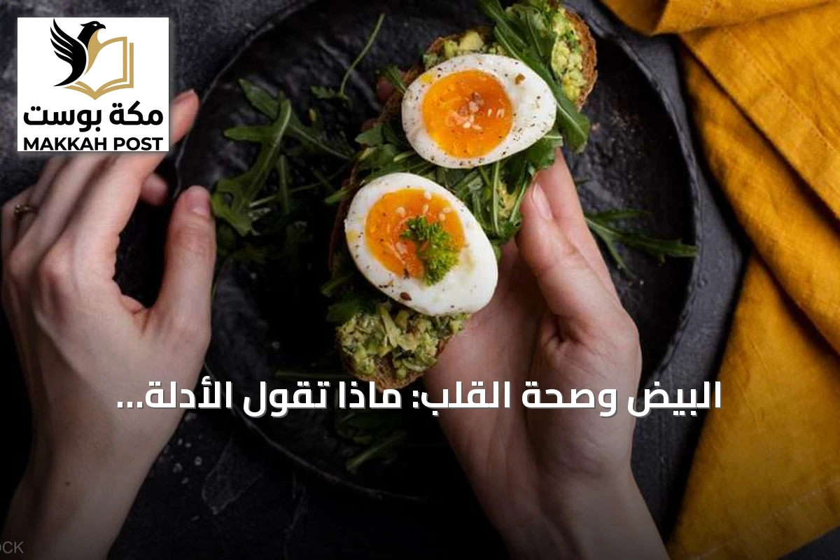 البيض وصحة القلب: ماذا تقول الأدلة العلمية الحديثة؟