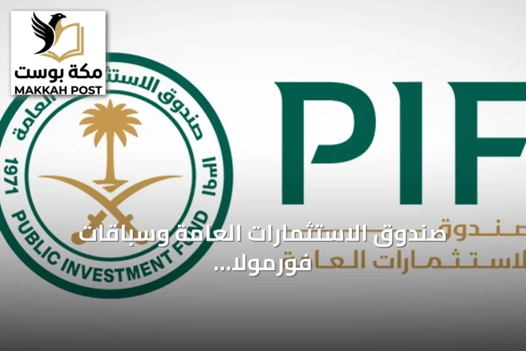 صندوق الاستثمارات العامة وسباقات فورمولا إي يوسعان منصة 'قوة الدفع' لتعليم STEM عبر الإنترنت