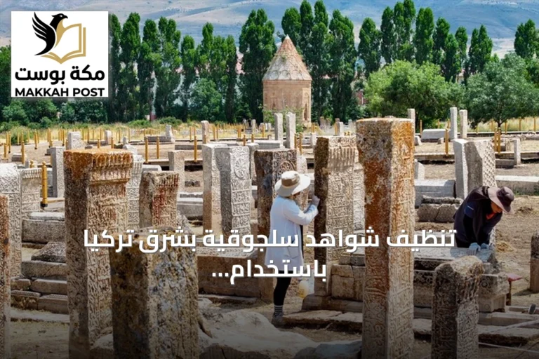 تنظيف شواهد سلجوقية بشرق تركيا باستخدام مشارط جراحية يكشف نقوشاً مخفية