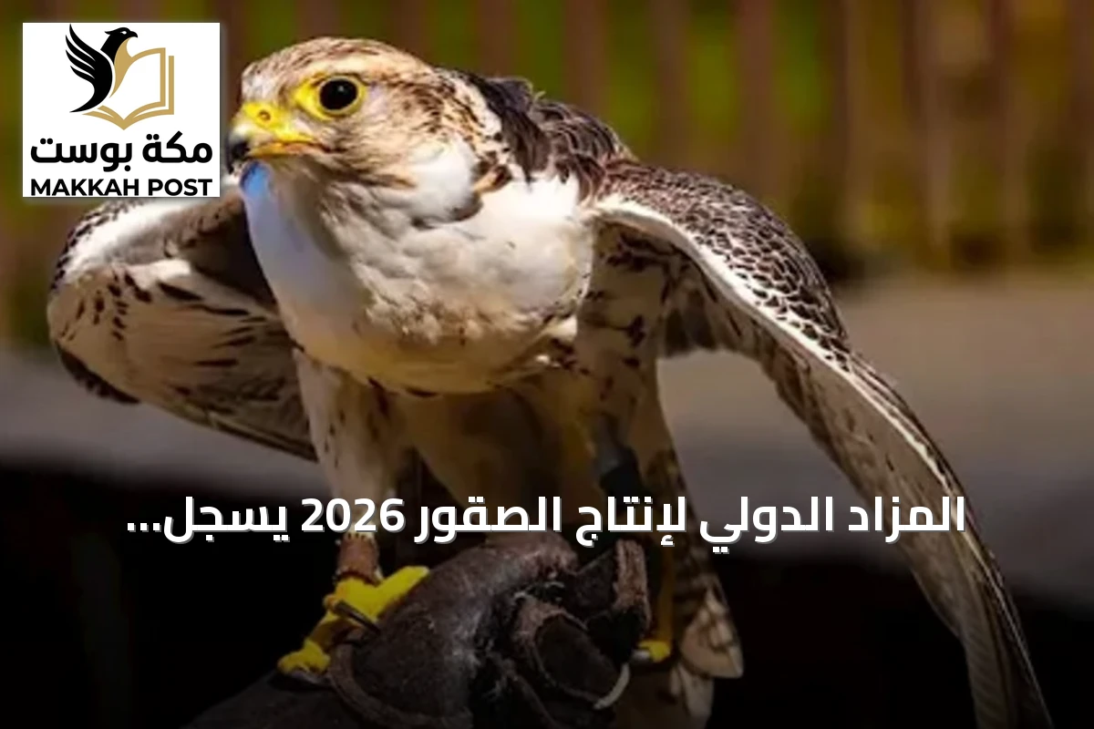 المزاد الدولي لإنتاج الصقور 2026 يسجل صفقات قياسية بأكثر من مليون ريال