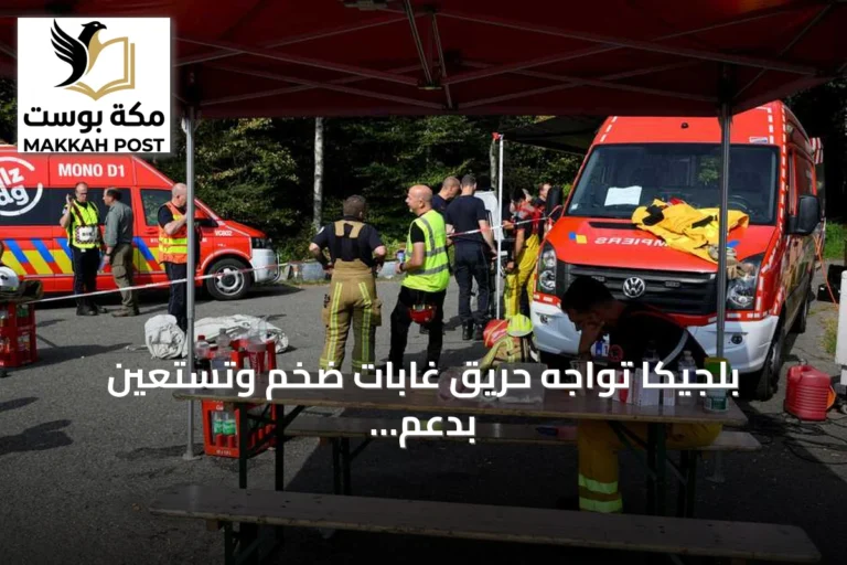 بلجيكا تواجه حريق غابات ضخم وتستعين بدعم جوي أوروبي