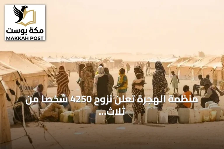 منظمة الهجرة تعلن نزوح 4250 شخصاً من ثلاث قرى بشمال كردفان بسبب تدهور أمني