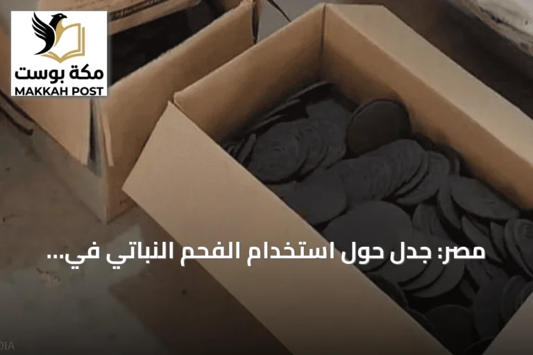 مصر: جدل حول استخدام الفحم النباتي في بسكويت غير مرخص بمحافظة القليوبية